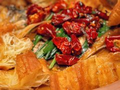 -柿合缘新京菜(国金中心商场店)