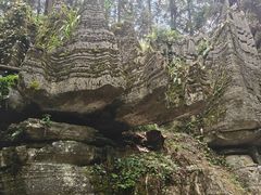 -梭布垭石林景区