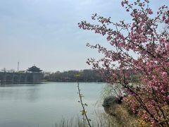 -茅山东方盐湖城景区