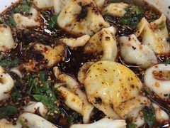 -回坊马二饺子馆