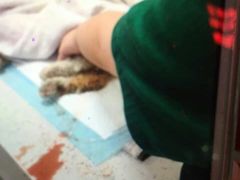 iphone_upload_pic-盛京一禾