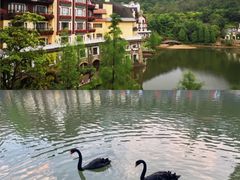 -茵特拉根酒店·西餐厅