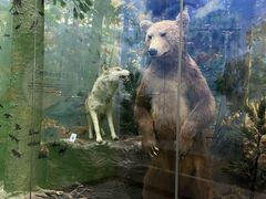 -国家自然博物馆