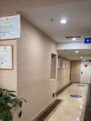 -碧莲盛·不剃发植发