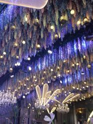 -花嫁丽舍婚礼殿堂(世博江景店)