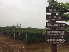 -北京张裕爱斐堡酒庄