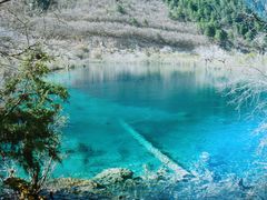 -九寨沟-树正沟