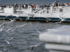 -滇池海埂公园