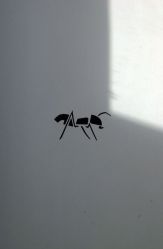 -匿名者纹身学院派·刺青