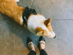 -八珍玉食鸡煲·打边炉(印象城店)