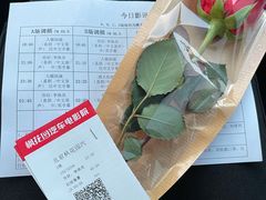 -枫花园汽车电影院(朝阳公园店)