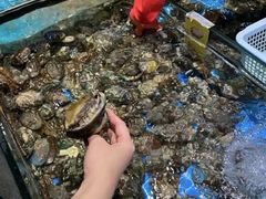 -三亚火车头万人海鲜广场