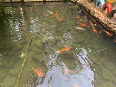 -呀诺达热带雨林