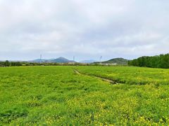 -西海岸生态观光园