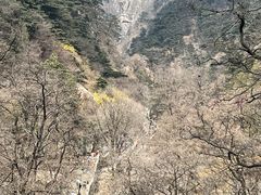 -泰山风景名胜区