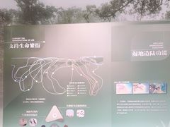 -中国湿地博物馆