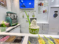 -Salud撒露欧洲冻酸奶(蓝色港湾店)
