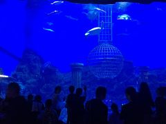 -芜湖新华联大白鲸海洋公园