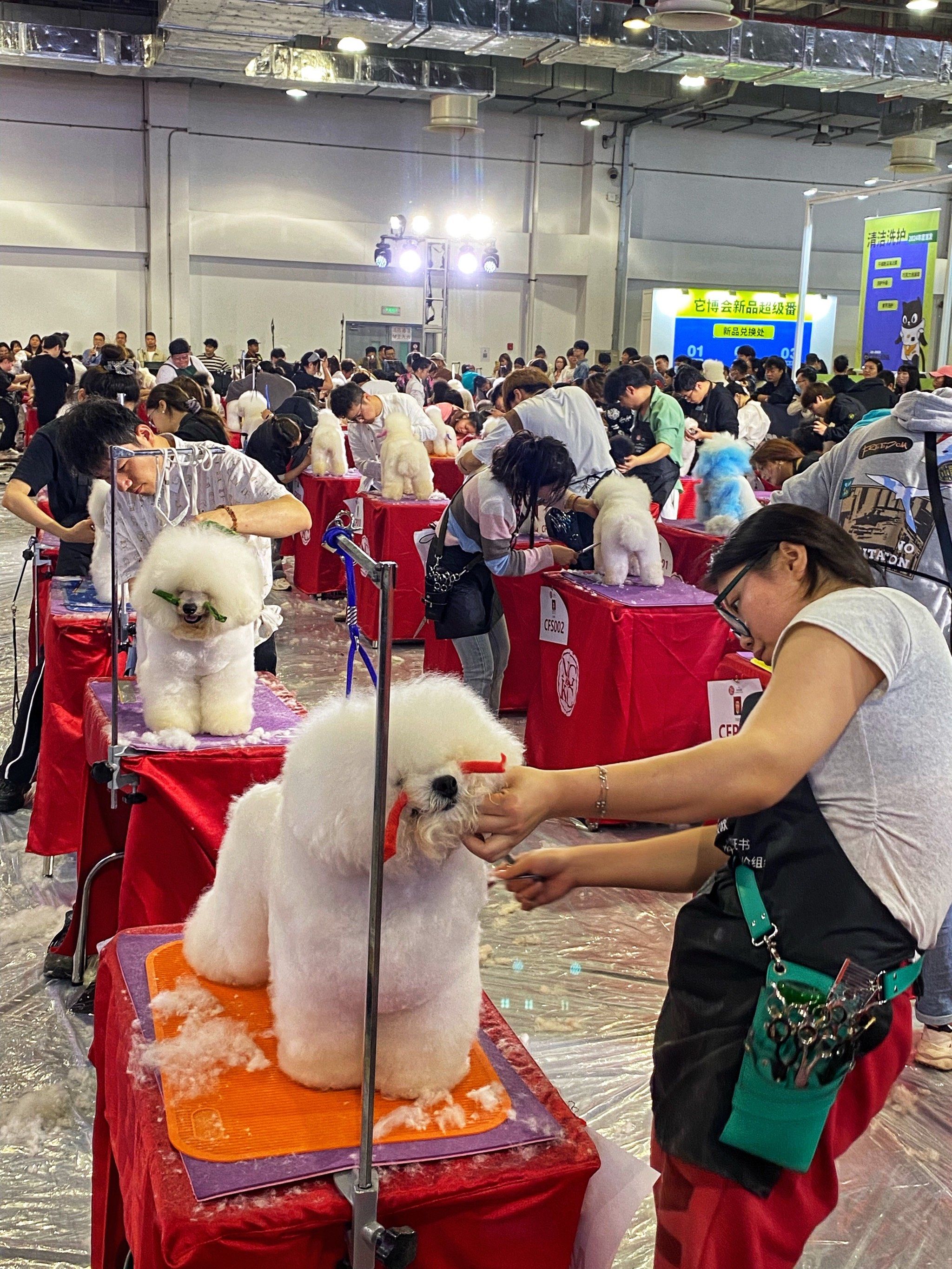 第四届tops它博会宠物展,现场展示了众多智能宠物产品