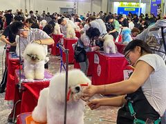 -东浩兰生上海世博展览馆