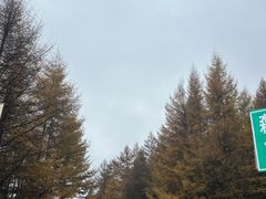 -芦芽山旅游度假区