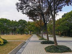 -新江湾城公园