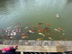 -嬉乐湾休闲旅游区