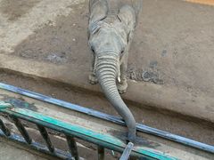 -济州山房山碳酸温泉