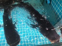 -浔味·山屿湖·正宗淳牌全鱼宴老字号