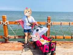 -渔岛海洋度假区