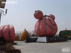 -观光南瓜园