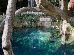 -蝴蝶泉公园