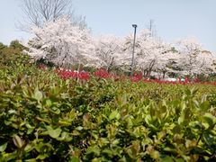 -石湖景区