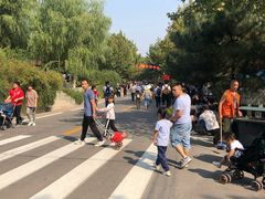 -石家庄市动物园