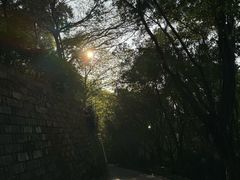 -金鸡山公园