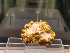 -安徽省地质博物馆