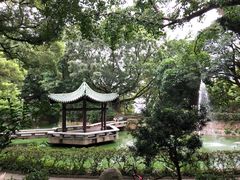 -九龙公园