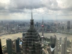 -上海柏悦酒店·世纪100牛排馆