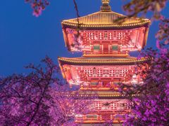 -西北湖绿化广场