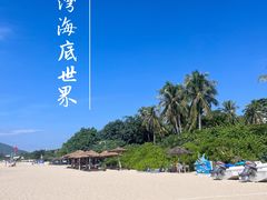 -亚龙湾海底世界