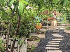 -桃源山庄·摘樱桃·柴火鸡·烧烤团建(龙泉山店)