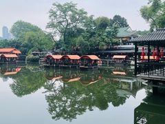 -侨美·唐荔园·40年地道粤菜