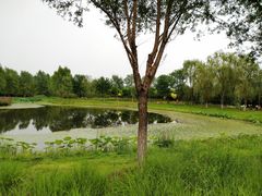 -东郊湿地公园