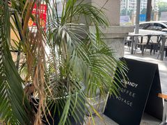 -JOHANDY COFFEE VOYAGE(水围1368文化街区店)