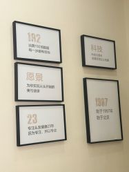 -菩叶脱发白发中心