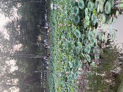 -咸阳湖景区-统一广场