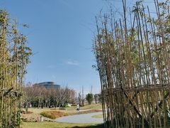 -上海山野camping·户外天幕烧烤·团建拓展营地