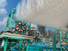 -海合安成都极地海洋公园