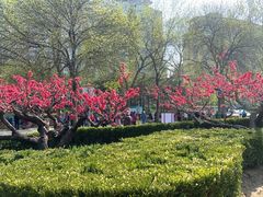 -元大都城垣遗址公园