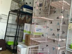 -Cappucimeow猫咪咖啡馆(韦伯时代店)